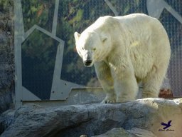 Tiergarten Schönbrunn am 20.10.2025